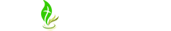 새순교회