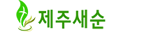 새순교회